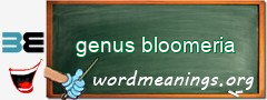 WordMeaning blackboard for genus bloomeria